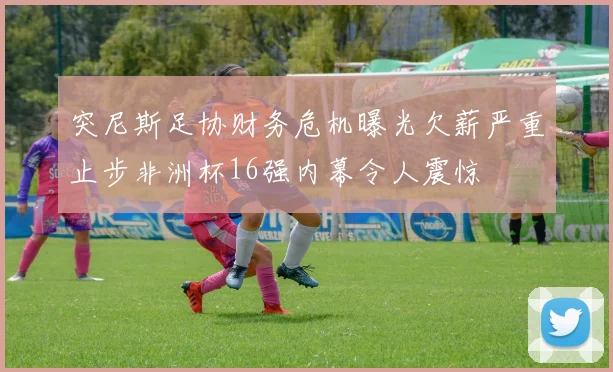 突尼斯足协财务危机曝光欠薪严重止步非洲杯16强内幕令人震惊