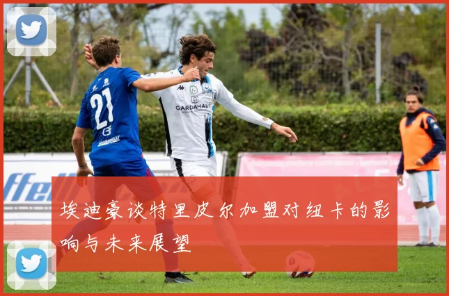 埃迪豪谈特里皮尔加盟对纽卡的影响与未来展望